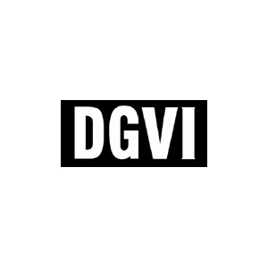 DGVI品牌logo