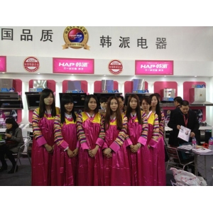 韩派电器
