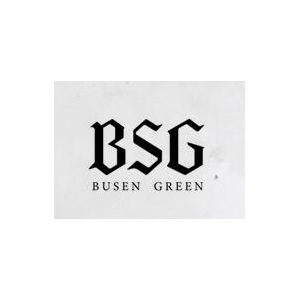 BSG品牌logo