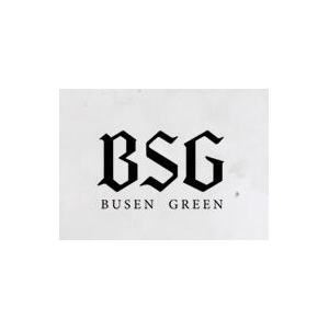 BSG