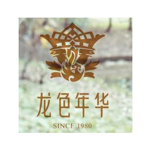 龙色年华品牌logo