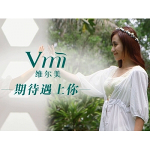 维尔美