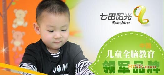 七田阳光全脑教育 七田阳光全脑教育