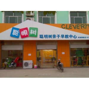 聪明树