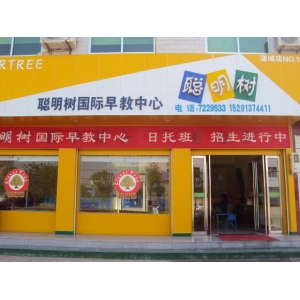 聪明树