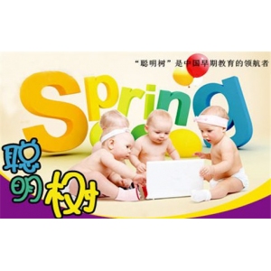 聪明树