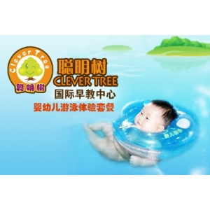 聪明树