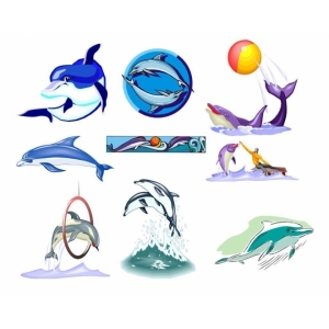 新海豚