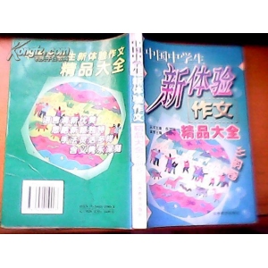 新体验作文