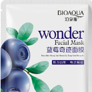 泊泉雅