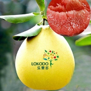 乐果多水果