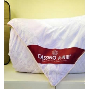卡西诺丝绸家纺品牌logo