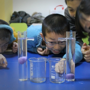 环球疯狂家族少儿科教