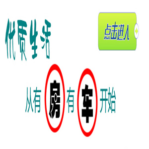 有车有房网