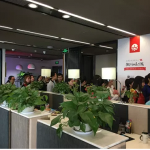 清大益师全脑教育