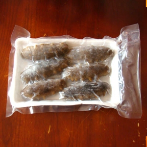 红房子海参