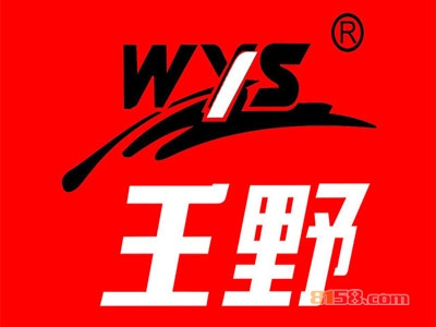 王野电动车加盟条件是什么？25.77万元是基本资金门槛！