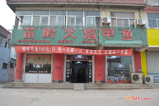 苗岭火焰甲鱼加盟