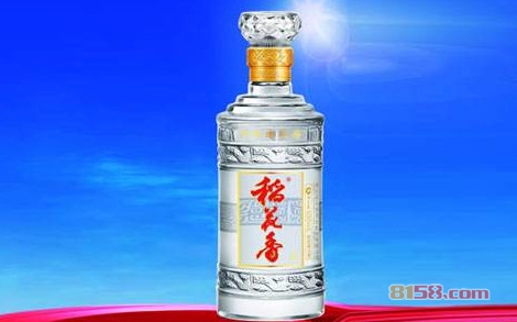 稻花香酒加盟
