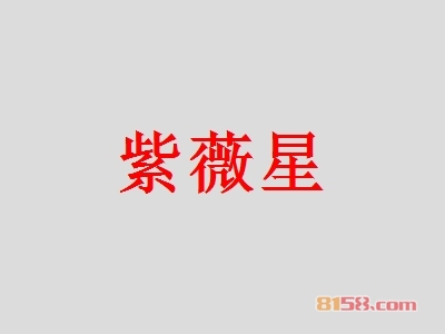 如何才能加盟紫薇星?紫薇星加盟的必备因素有这些!