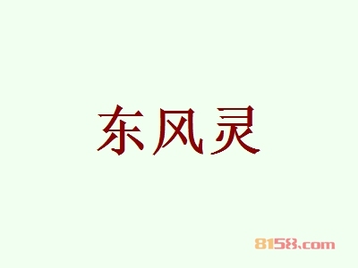 东风灵加盟