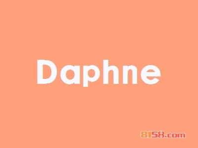 Daphne加盟_Daphne加盟年入49.2万元！