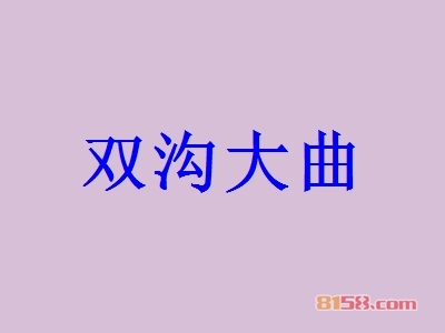 双沟大曲加盟