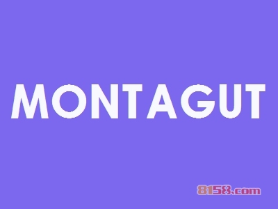 加盟MONTAGUT要多少钱？