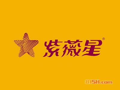 开紫微星理疗仪加盟店好不好开紫微星理疗仪加盟店有哪些利润