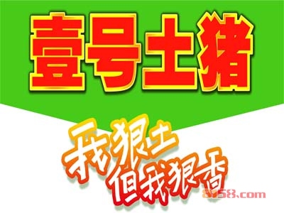 加盟一个壹号土猪需要多少钱？