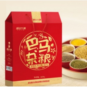 康达九洲