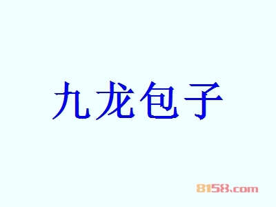 九龙包子代理利润怎么样？年利润49.92万元，商机不容错过！