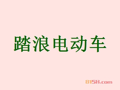踏浪电动车是否赚钱？年利润53.06万元，开创“富”事业！