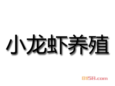 小龙虾养殖如何才能加盟？