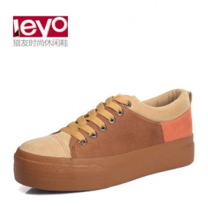 leyo