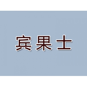 宾果士品牌logo