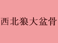 西北狼大盆骨加盟，加盟西北狼大盆骨两年就能买房买车！