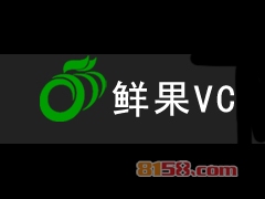 鲜果VC加盟，一次投入7.03万元每年赚取24.42万元！