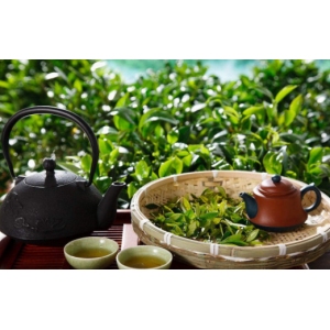仁君茗茶