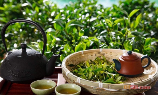 甘城茶业