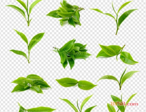 仙恩茶业