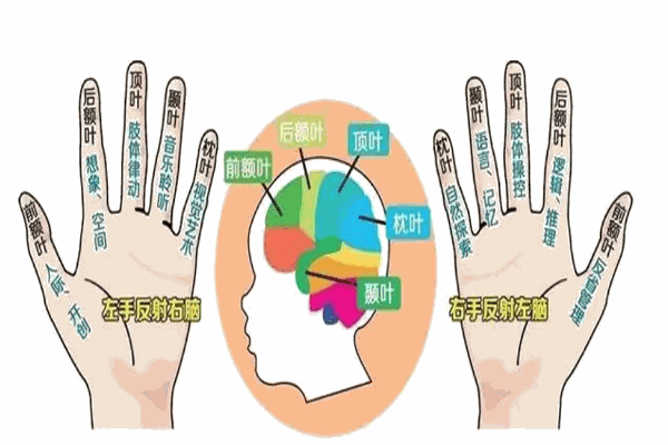 皮纹检测台灣MIT 皮纹检测台灣MIT