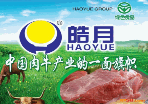 皓月牛肉 皓月牛肉