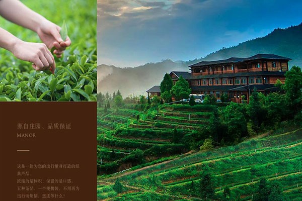 华祥苑茗茶 华祥苑茗茶