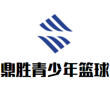 鼎胜青少年篮球训练营品牌logo