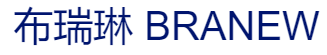 布瑞琳洗衣店品牌logo
