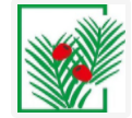 梵洛姿红豆杉酵素浴品牌logo