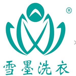 雪墨洗染
