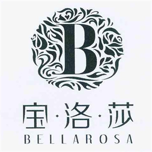 宝洛莎美容会所