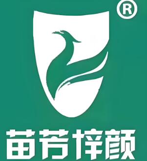 苗芳梓颜祛痘